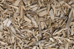 biomass boilers Danebridge