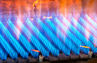 Danebridge gas fired boilers